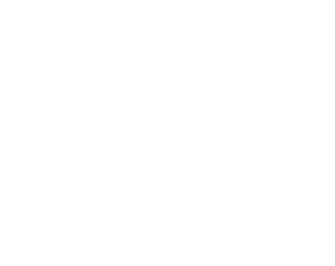 Domino's