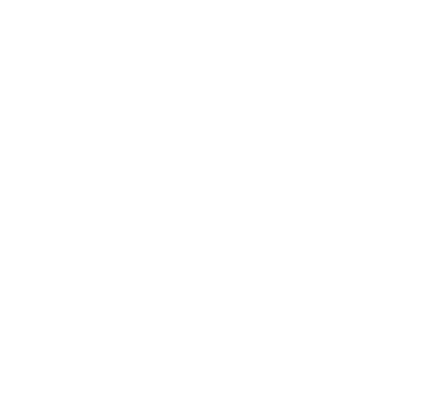 Gull